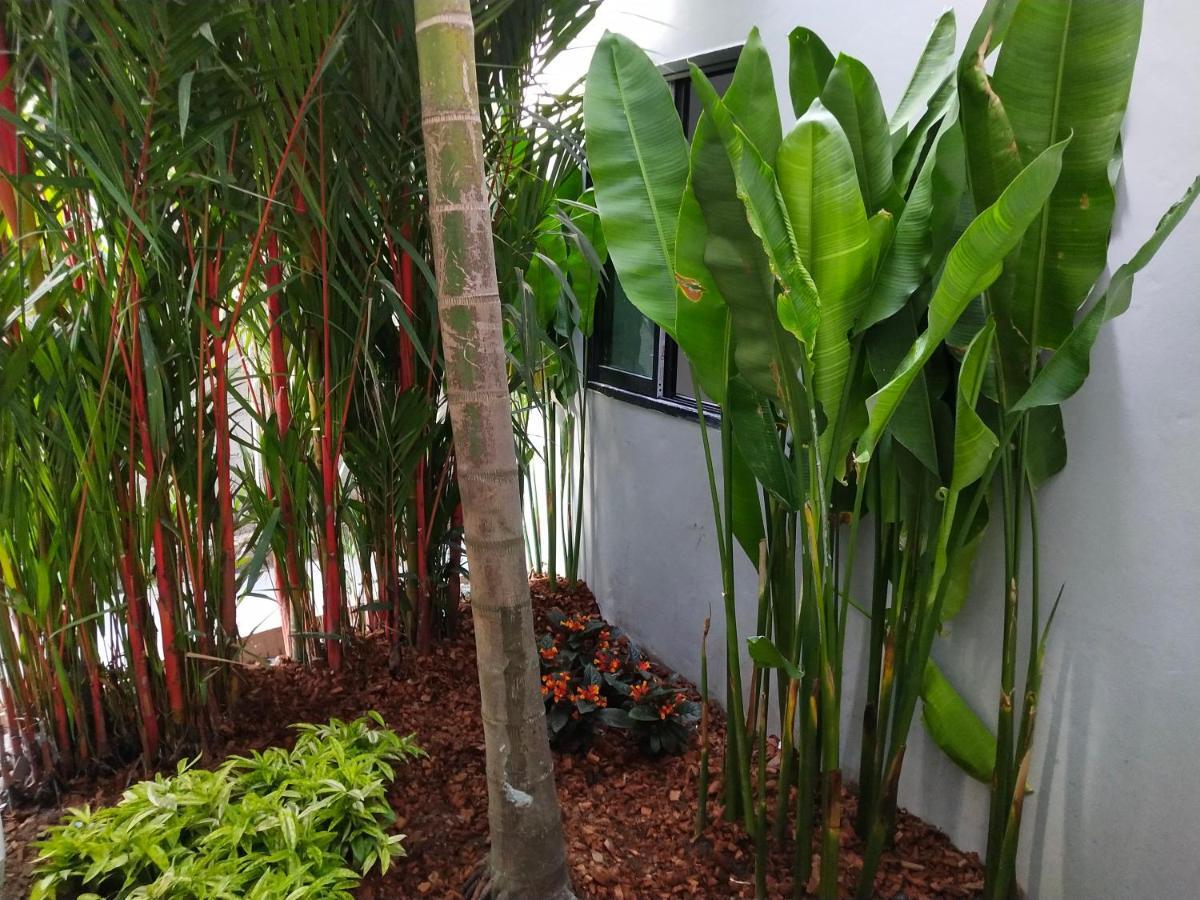 Hotel De Sripoom -SHA Extra Plus Chiang Mai Exterior foto